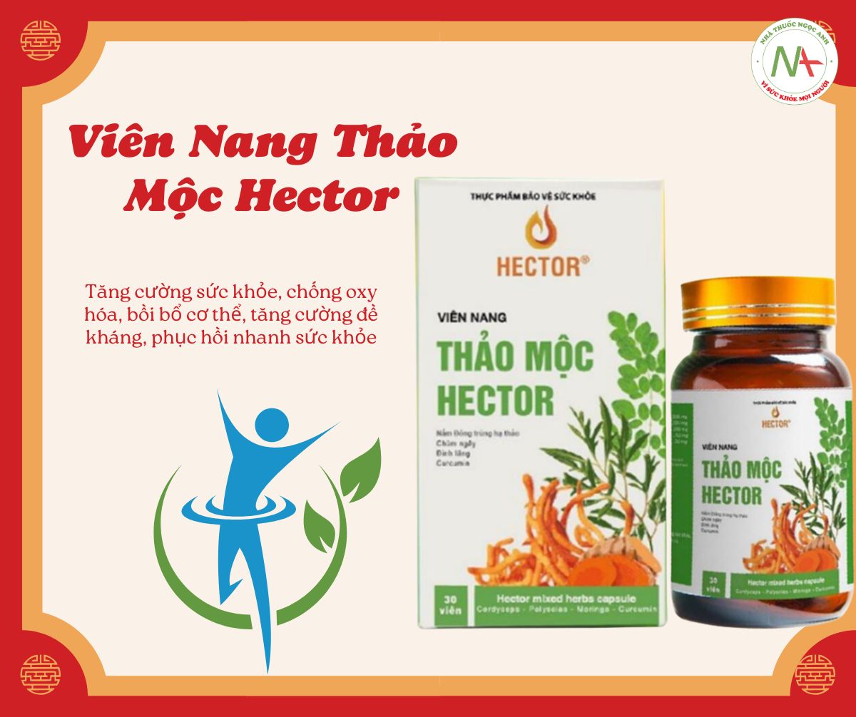 Viên Nang Thảo Mộc Hector