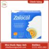 Viên ngậm thảo mộc Zalocol 75x75px