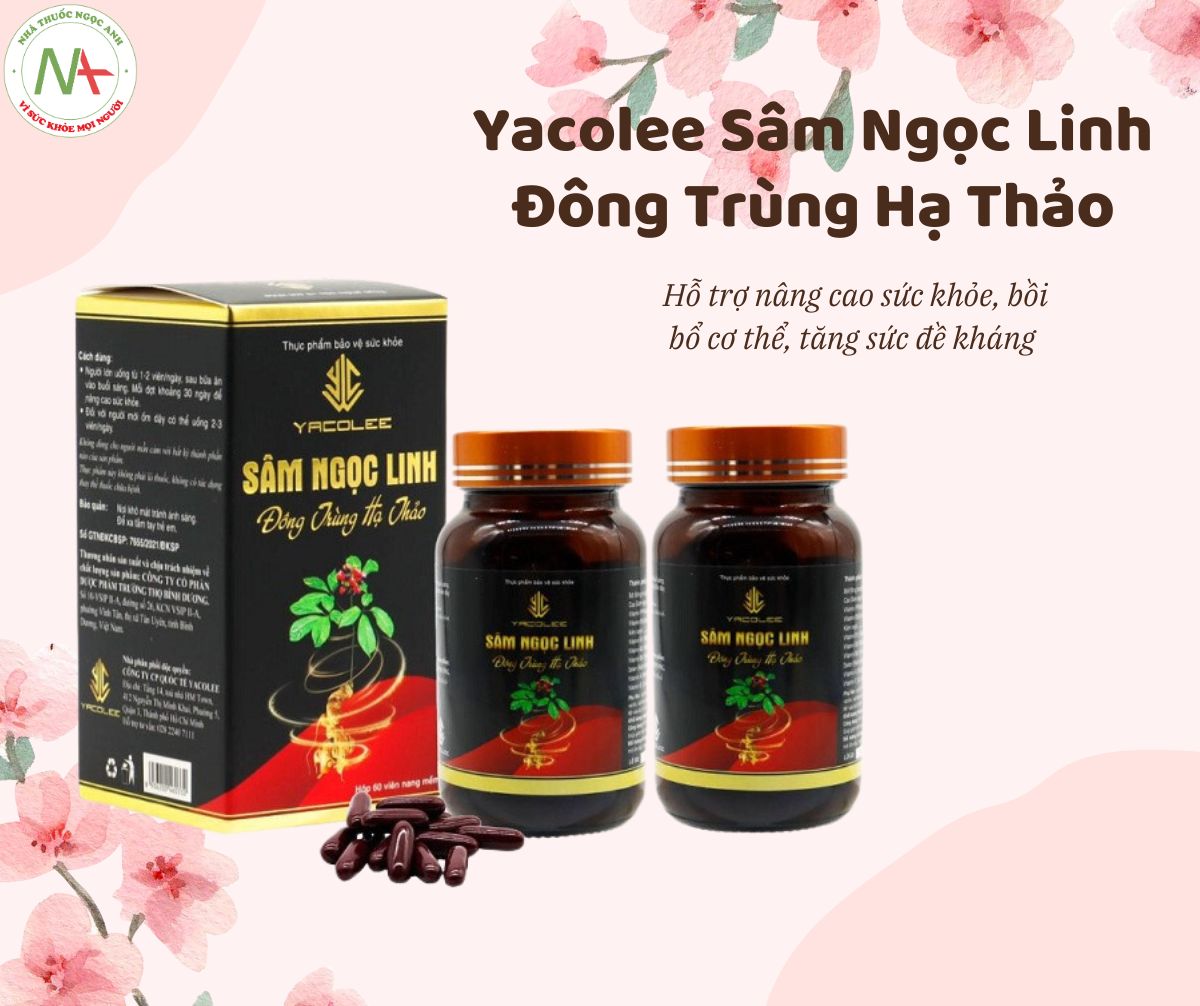 Yacolee Sâm Ngọc Linh Đông Trùng Hạ Thảo