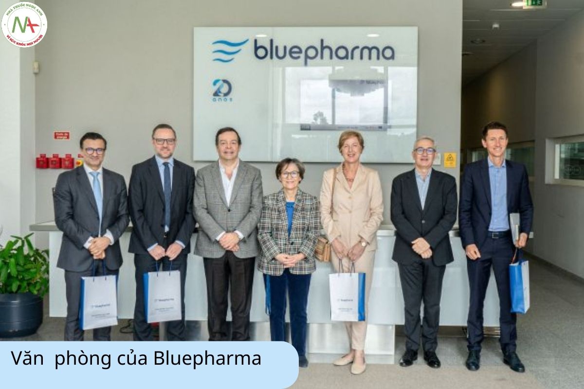 Văn phòng của Bluepharma