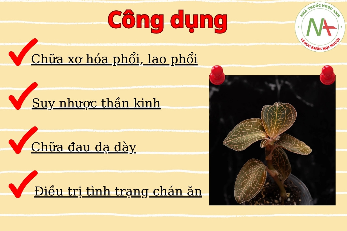 Dược liệu Lan Kim Tuyến