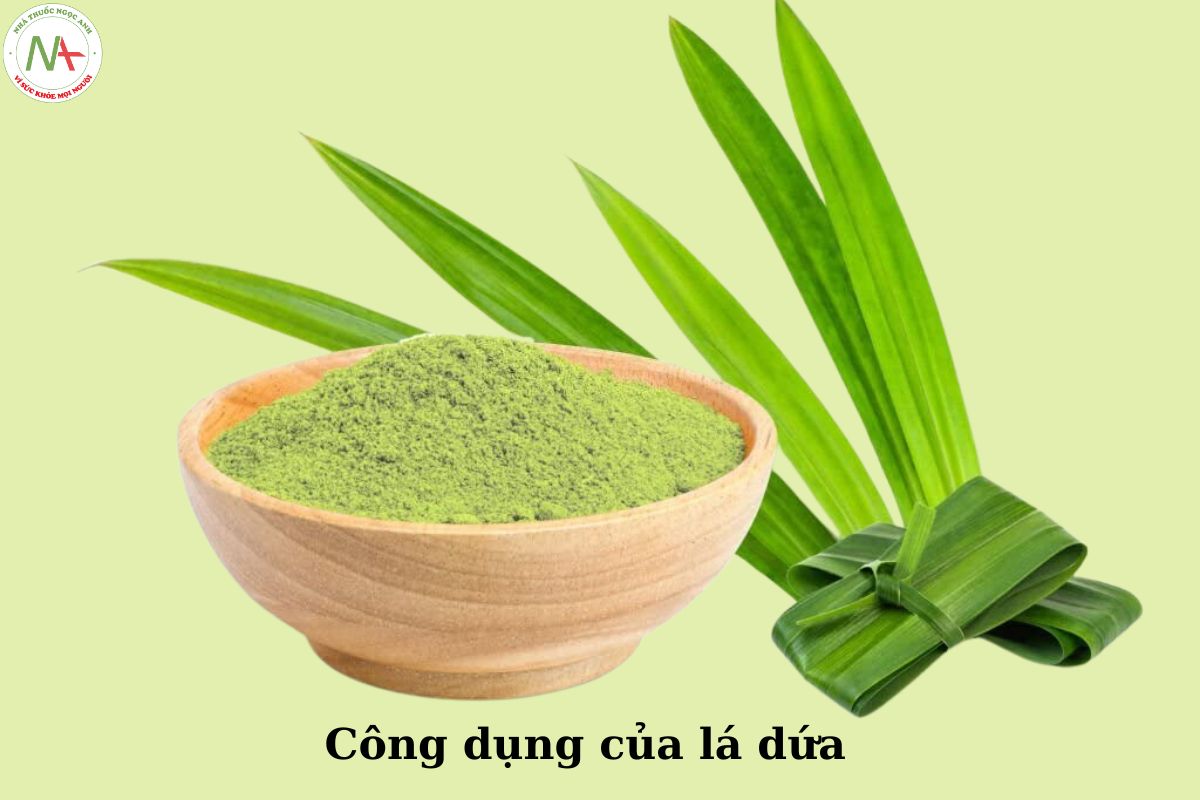 Công dụng của cây lá dứa