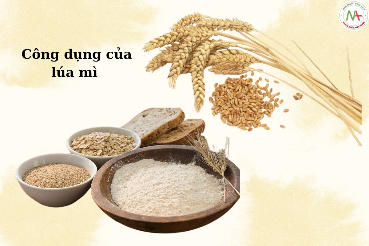 Công dụng của lúa mì