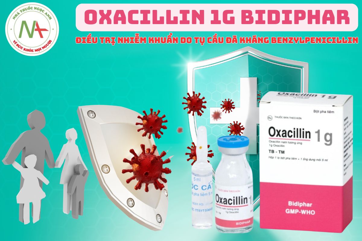 Thuốc Oxacillin 1g Bidiphar điều trị nhiễm khuẩn hô hấp, nhiễm khuẩn da