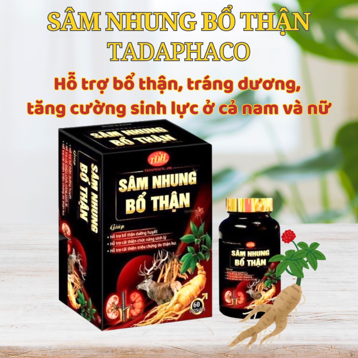 Sâm nhung bổ thận Tadaphaco