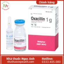 Oxacillin 1g Bidiphar