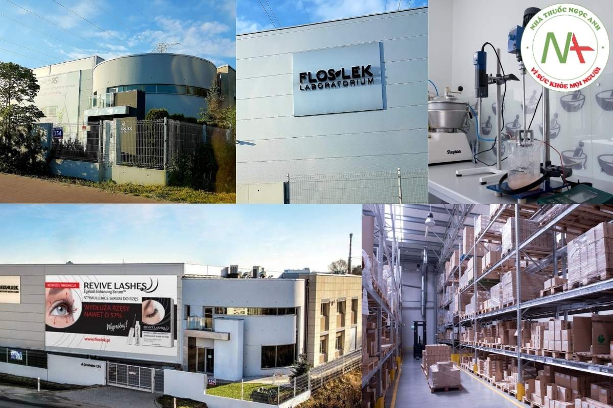 Cơ sở hạ tầng của FLoslek