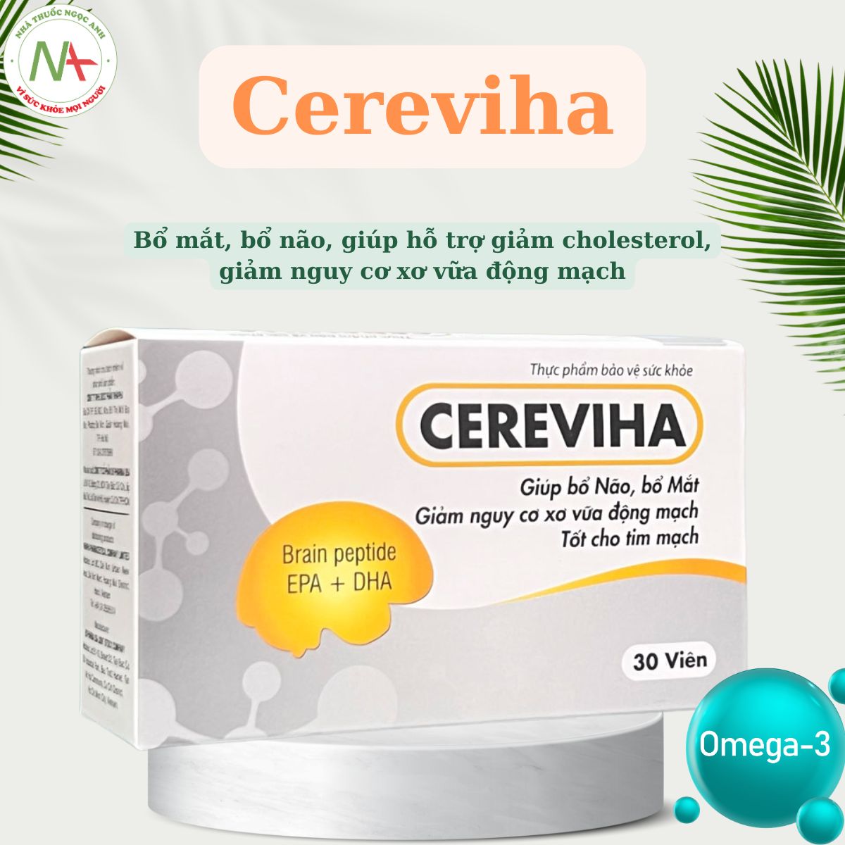 Cereviha 3 Cereviha