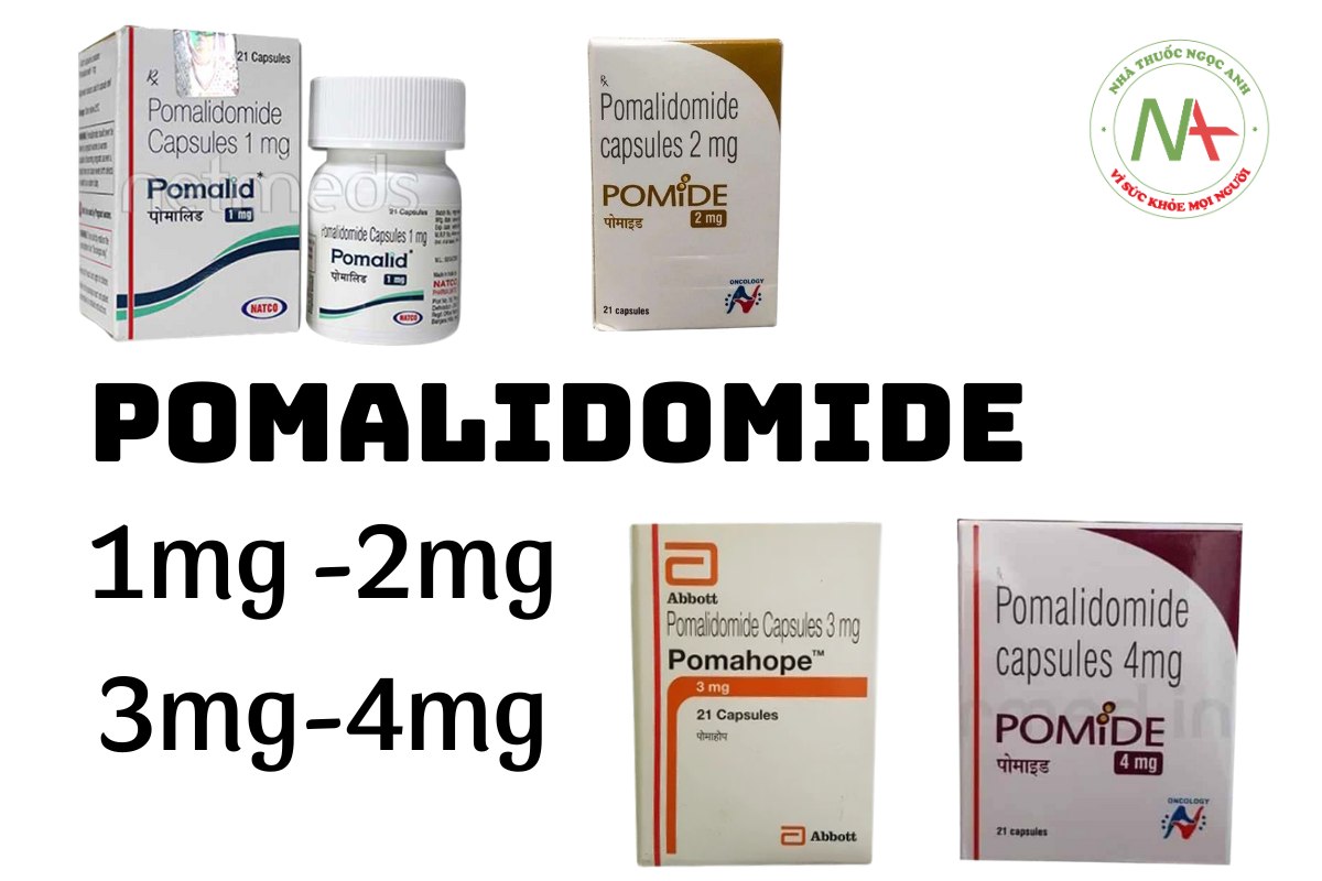 Thuốc Pomalidomide