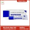 Mupricon Ointment USP (Tuýp 5g) 75x75px
