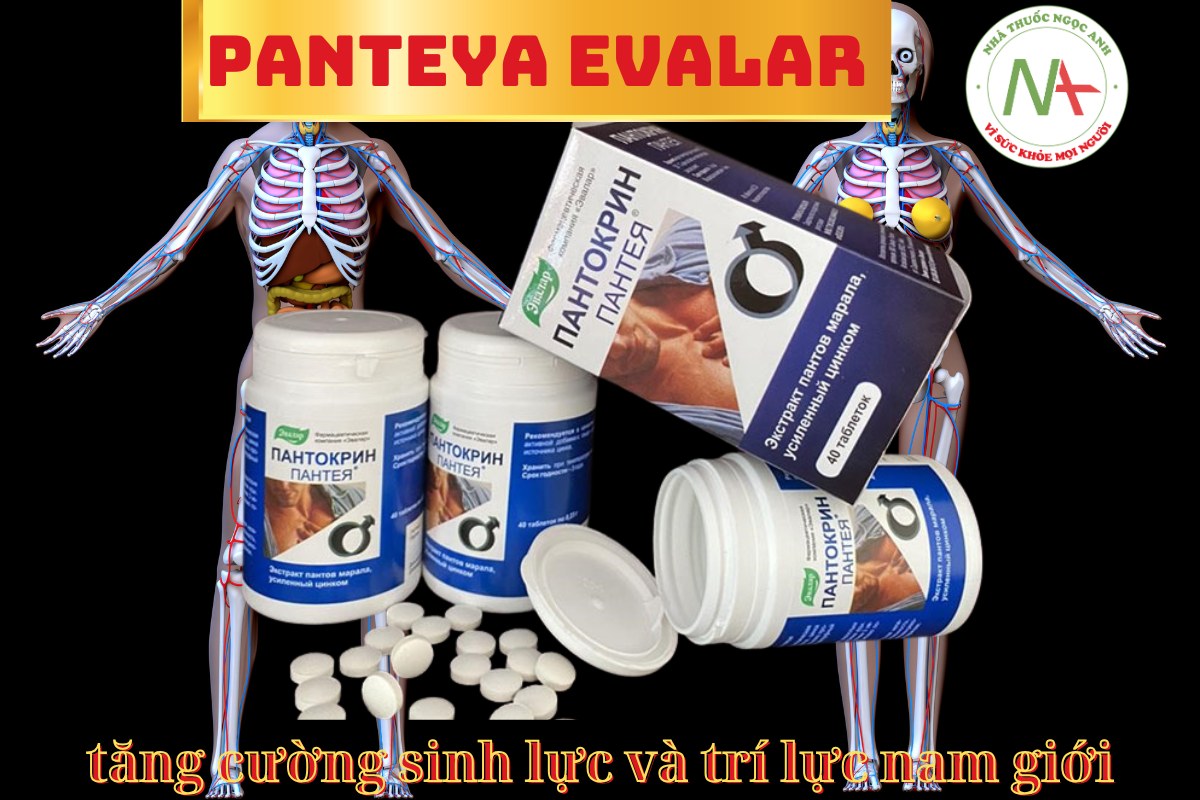 Panteya Evalar 3 Panteya Evalar