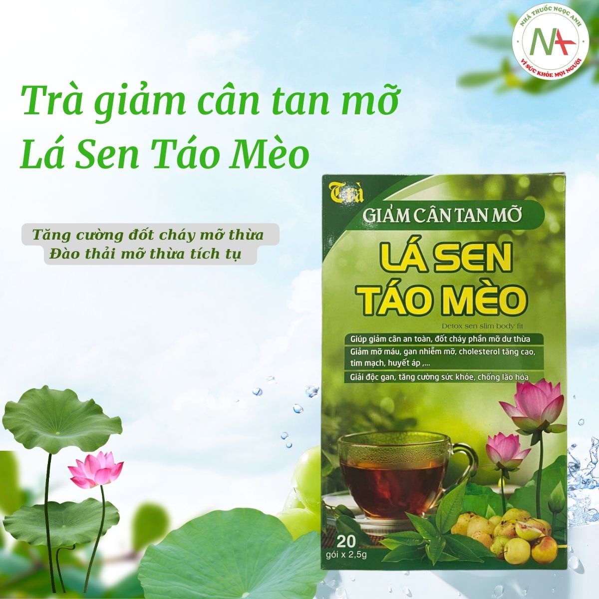 Trà giảm cân tan mỡ Lá Sen Táo Mèo