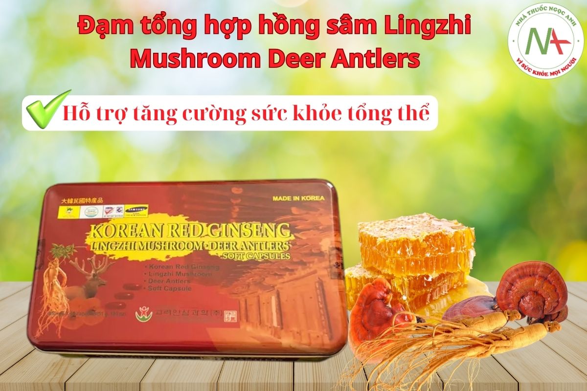 Đạm tổng hợp hồng sâm Lingzhi Mushroom Deer Antlers tăng cường sức khỏe