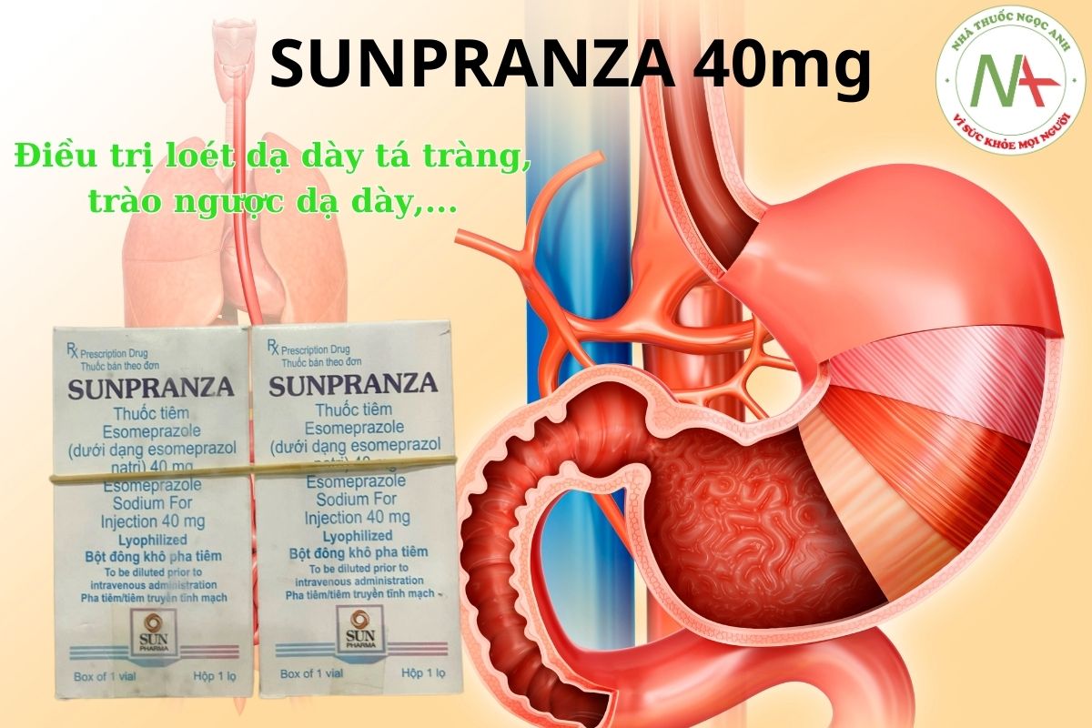 Thuốc Sunpranza 40mg được chỉ định trong các trường hợp như loét dạ dày - tá tràng, trào ngược dạ dày,...