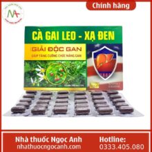 Cà Gai Leo - Xạ Đen Tradiphar