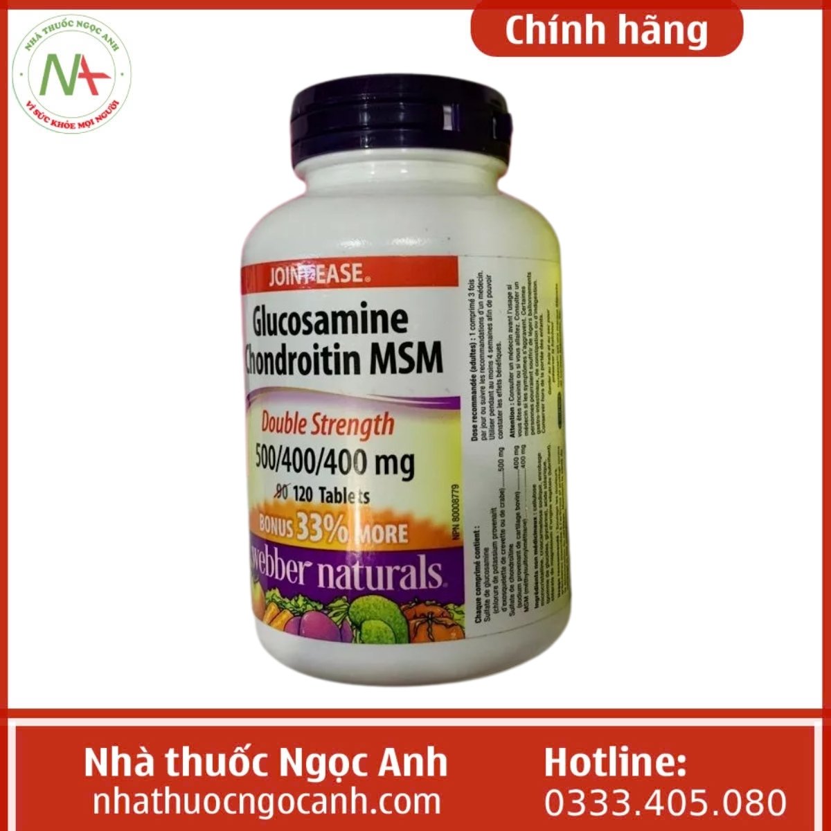 Glucosamine Chondroitin MSM Joint Ease