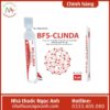 BFS-Clinda