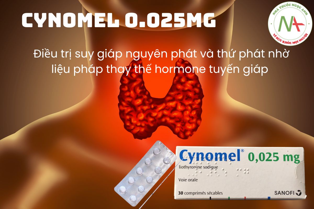 Cynomel 0.025mg 3 Thuốc Cynomel 0.025mg
