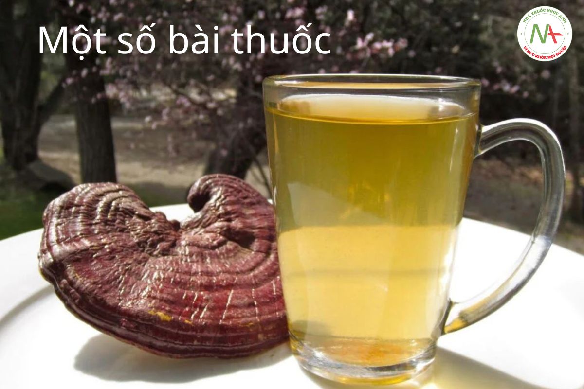 Một số bài thuốc ứng dụng Nấm Lim Xanh 