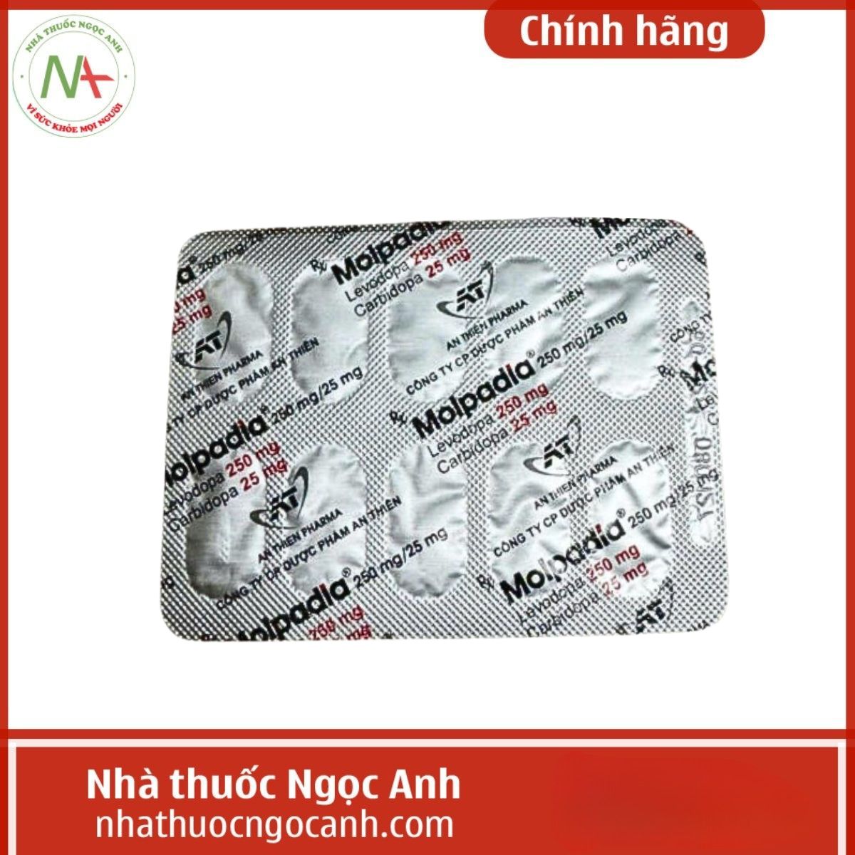 Molpadia 250mg/25 mg