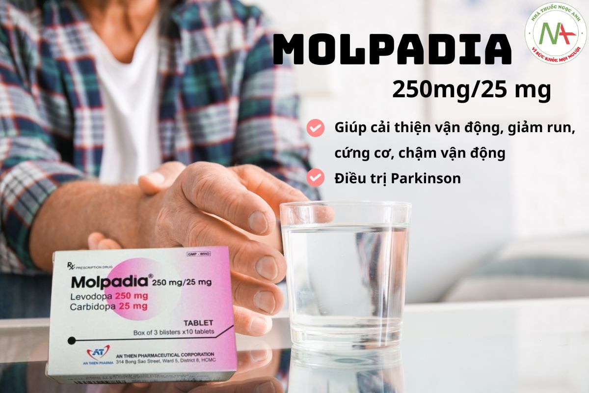 Molpadia 250mg/25 mg