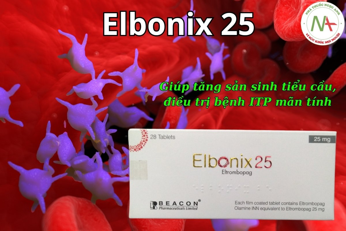 Thuốc Elbonix 25 giúp tăng sản sinh tiểu cầu, điều trị bệnh ITP mãn tính