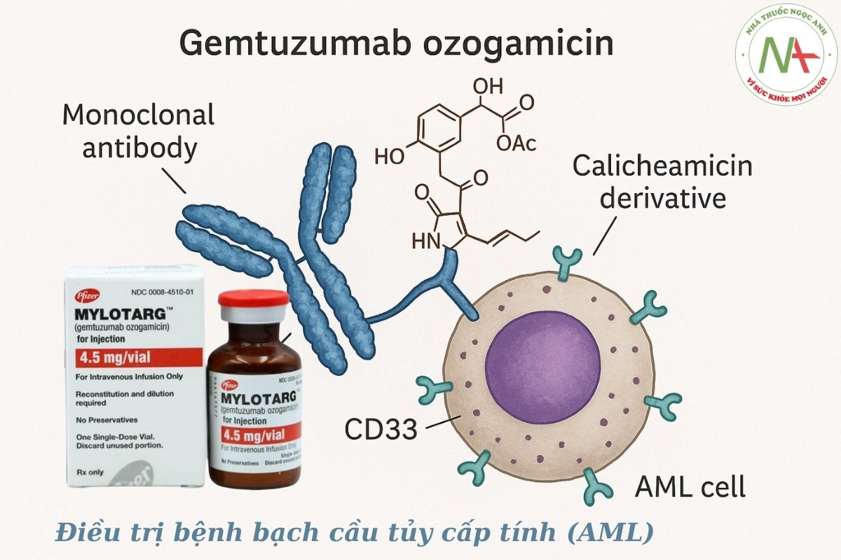 Gemtuzumab ozogamicin điều trị bệnh bạch cầu tủy cấp tính (AML)