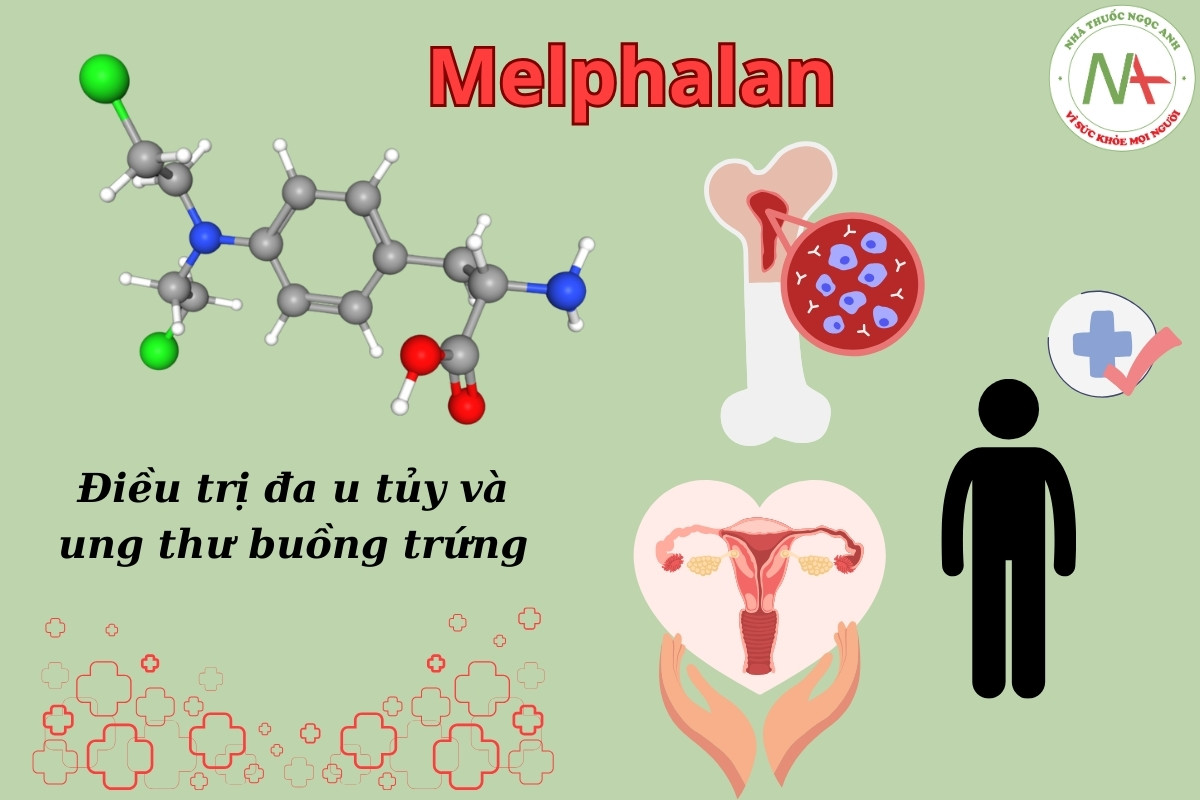 Melphalan điều trị đa u tủy và ung thư buồng trứng
