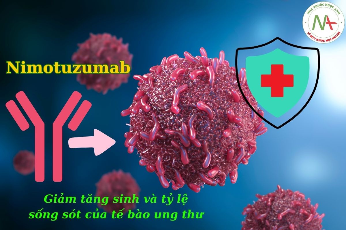Nimotuzumab giảm tăng sinh và tỷ lệ sống sót của tế bào ung thư