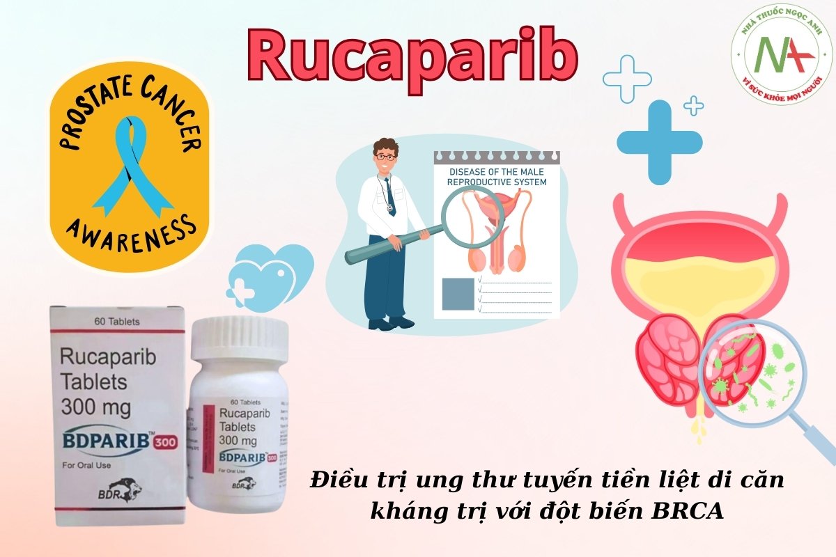 Rucaparib điều rị ung thư tuyến tiền liệt di căn