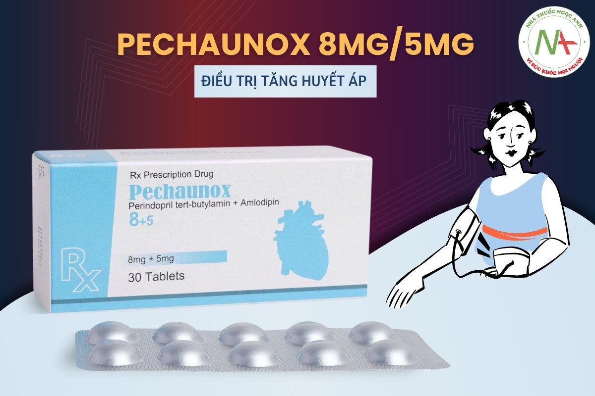Thuốc Pechaunox 8mg/5mg điều trị tăng huyết áp