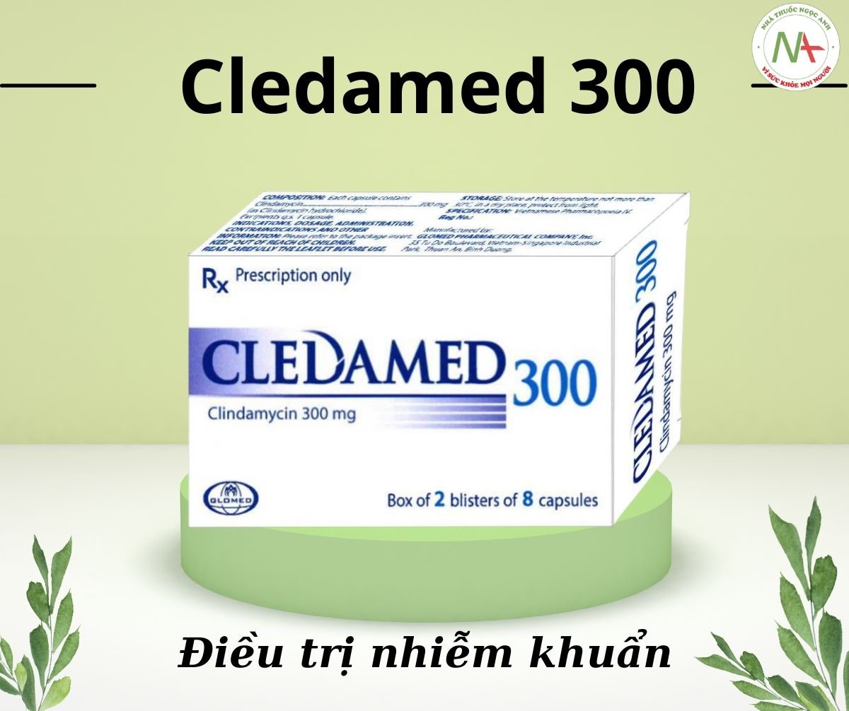 Cledamed 300
