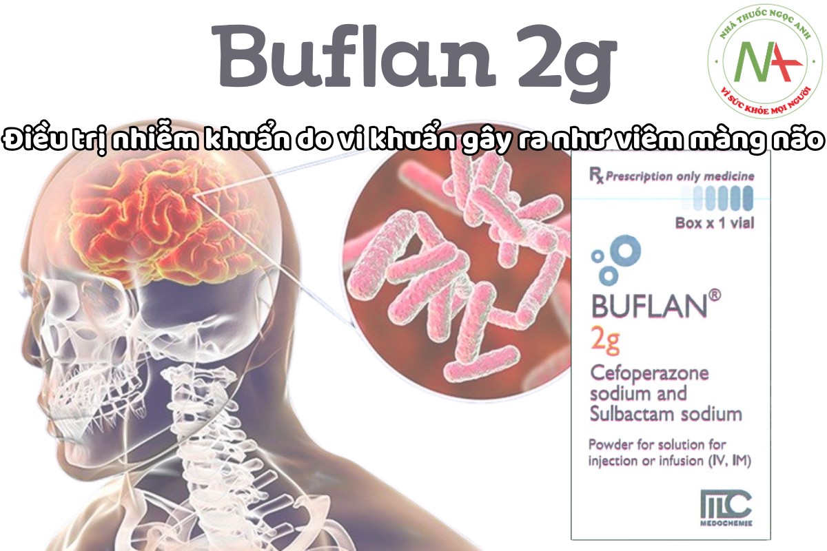 Buflan 2g 3 Buflan 2g điều trị nhiễm khuẩn do vi khuẩn nhạy cảm gây ra như viêm màng não