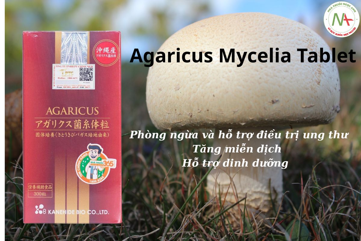 Agaricus Mycelia Tablet 3 Agaricus Mycelia Tablet