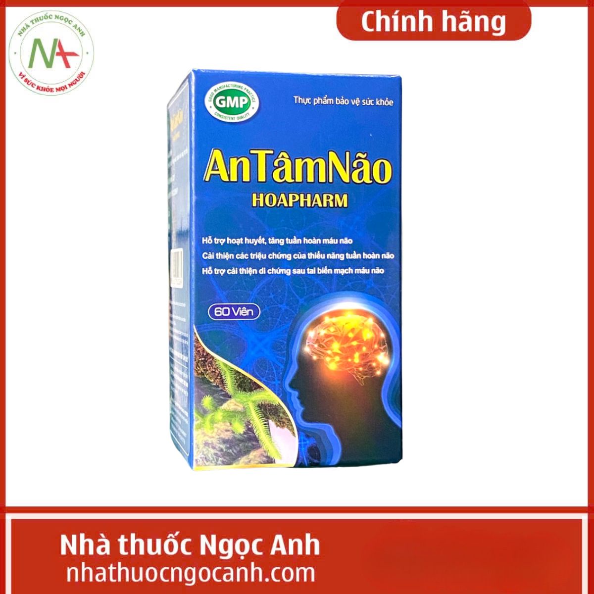 An Tâm Não Hoapharm