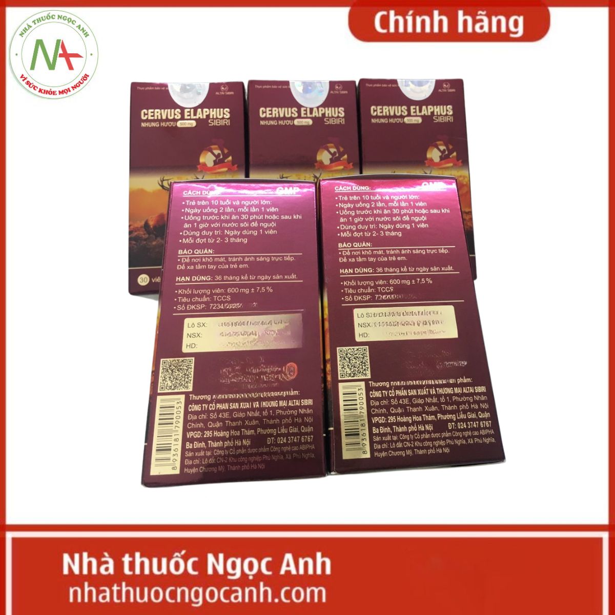 Cervus Elaphus Sibiri