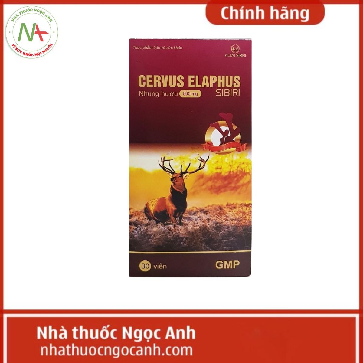 Cervus Elaphus Sibiri