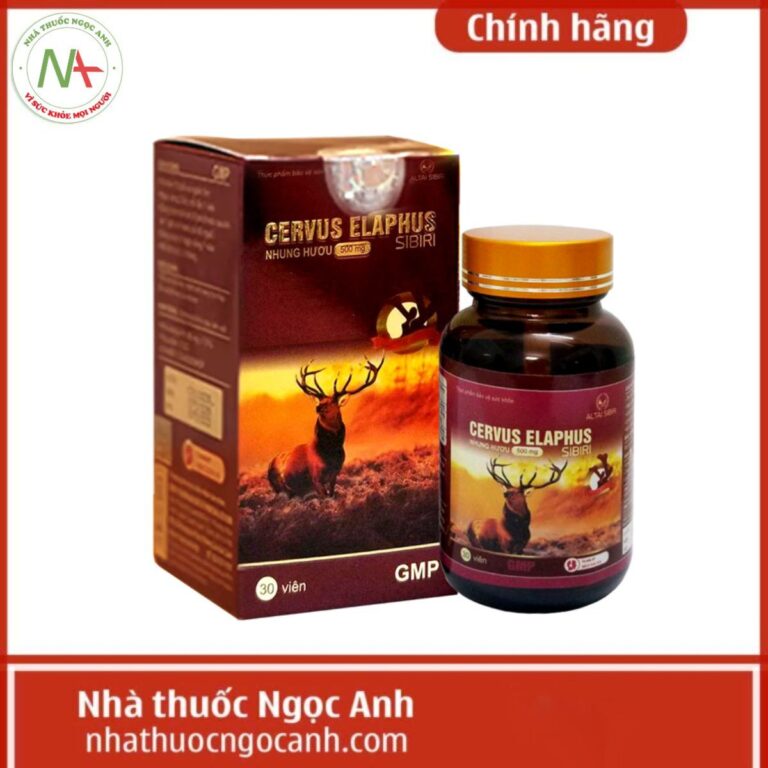 Cervus Elaphus Sibiri