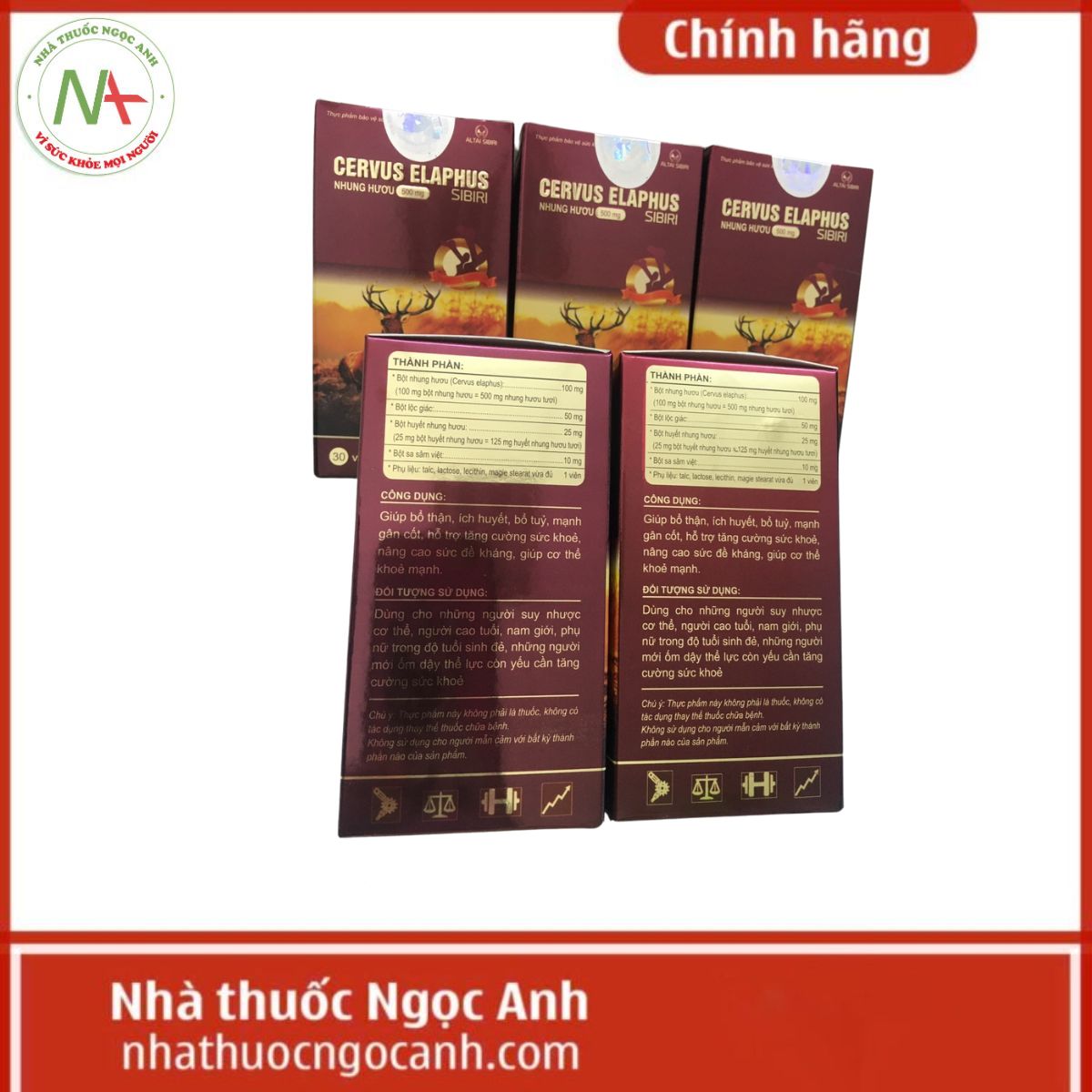 Cervus Elaphus Sibiri