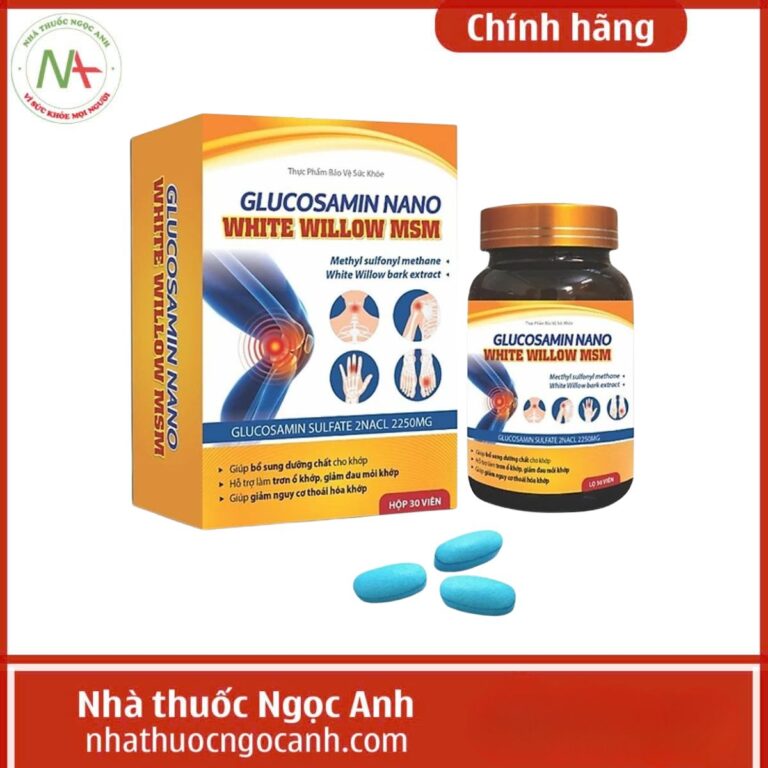Glucosamin Nano White Willow MSM