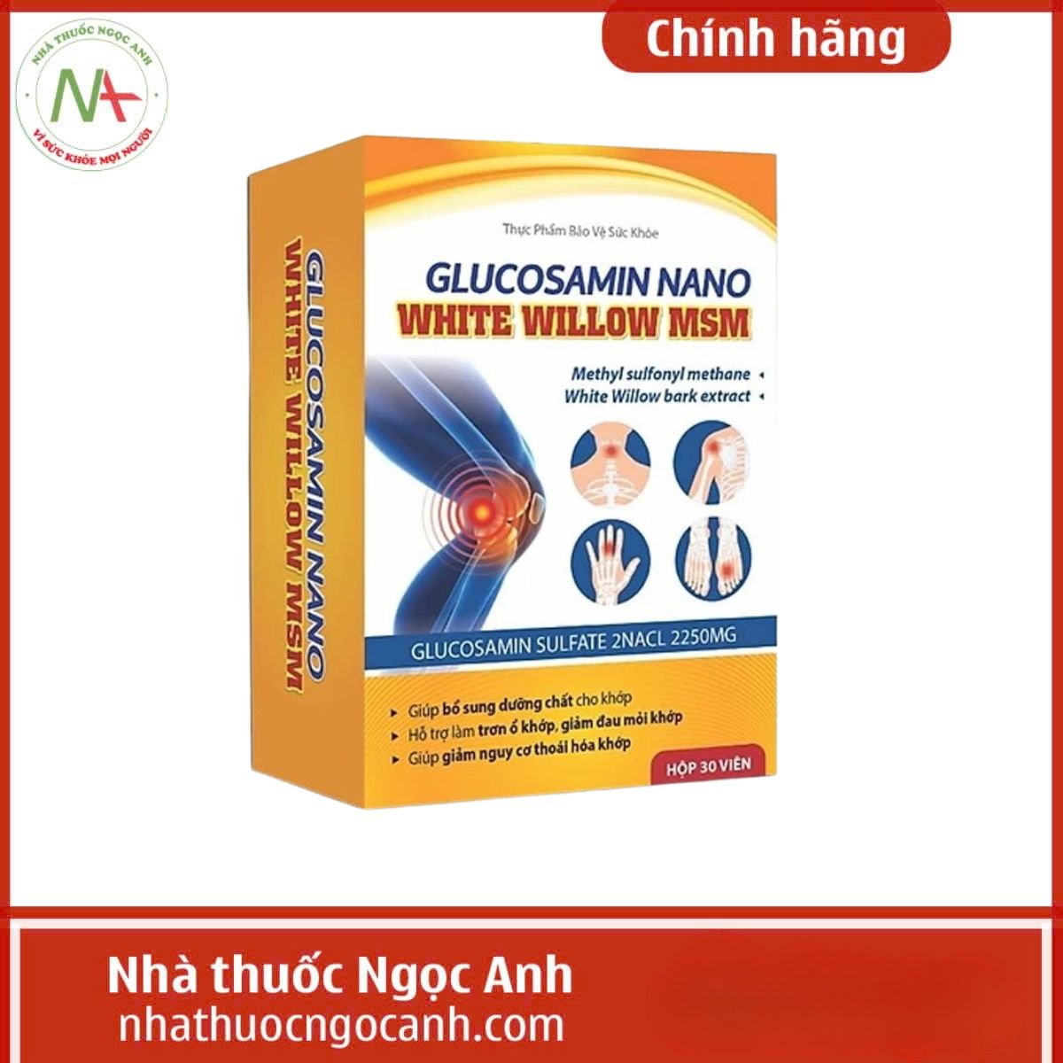 Glucosamin Nano White Willow MSM