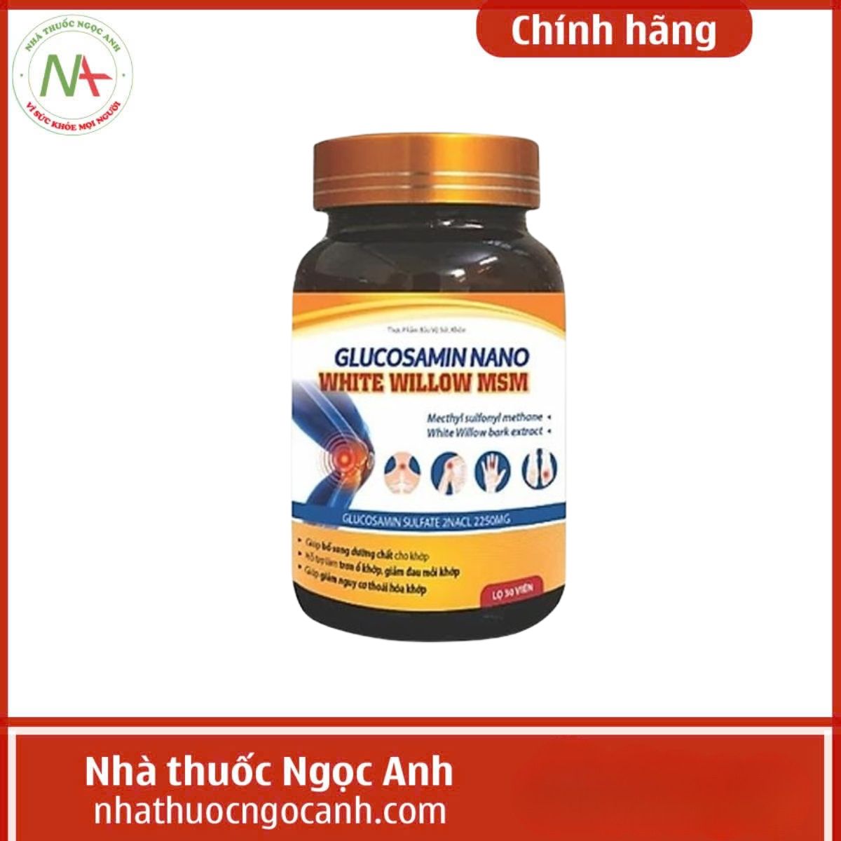 Glucosamin Nano White Willow MSM