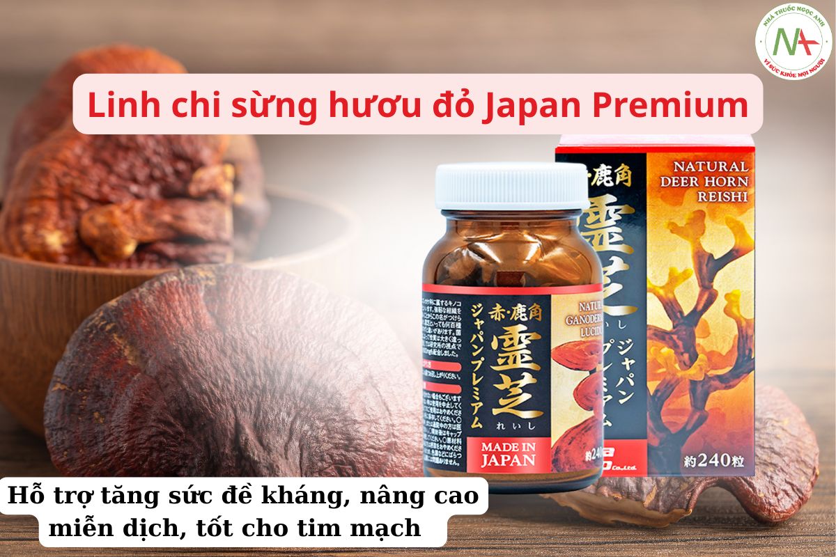 Linh chi sừng hươu đỏ Japan Premium