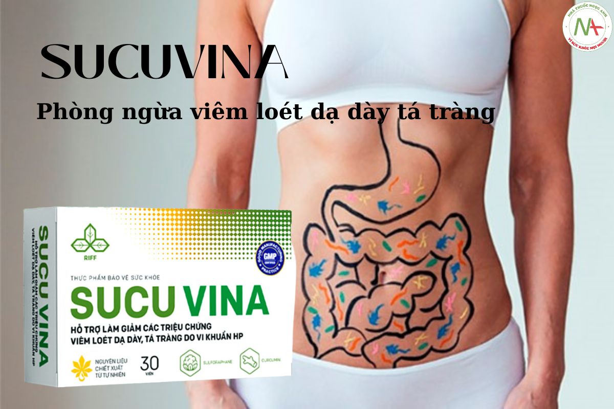 Sucuvina hỗ trợ cải thiện chức năng hệ tiêu hóa