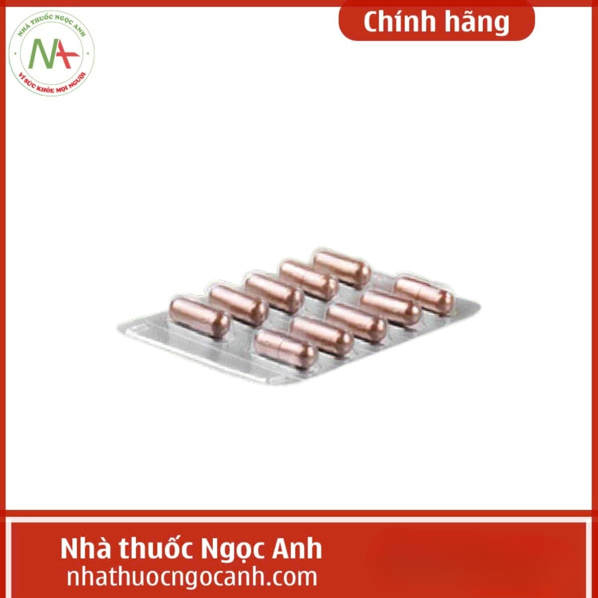 Đại tràng Anvida