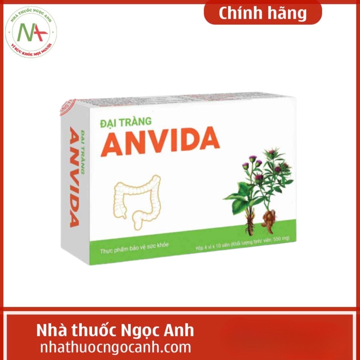 Đại tràng Anvida