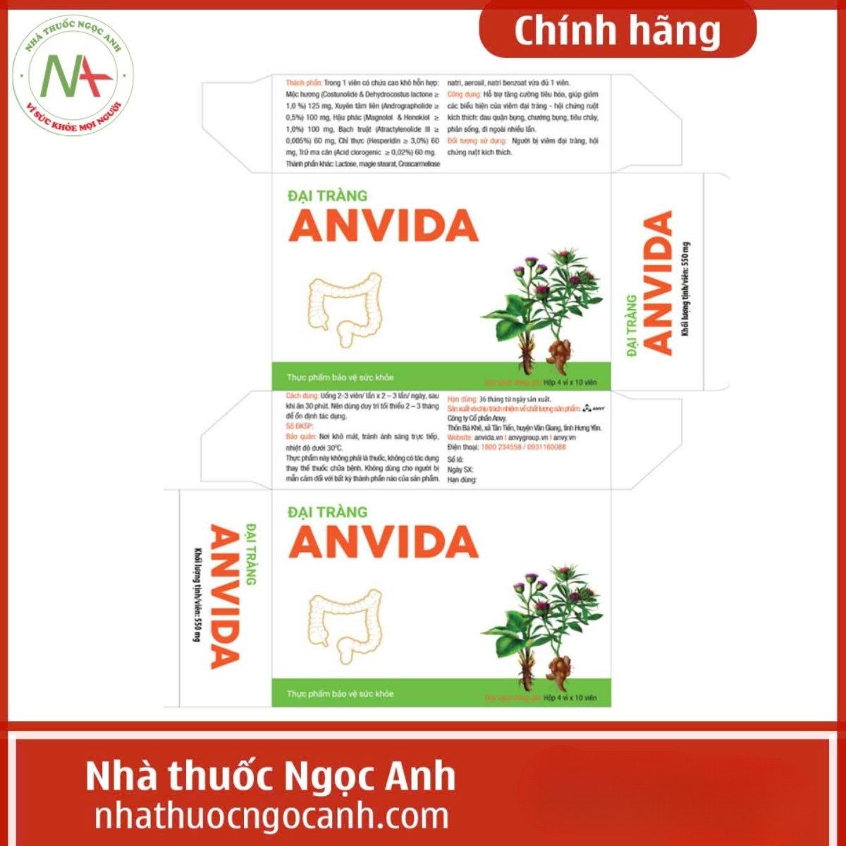 Đại tràng Anvida