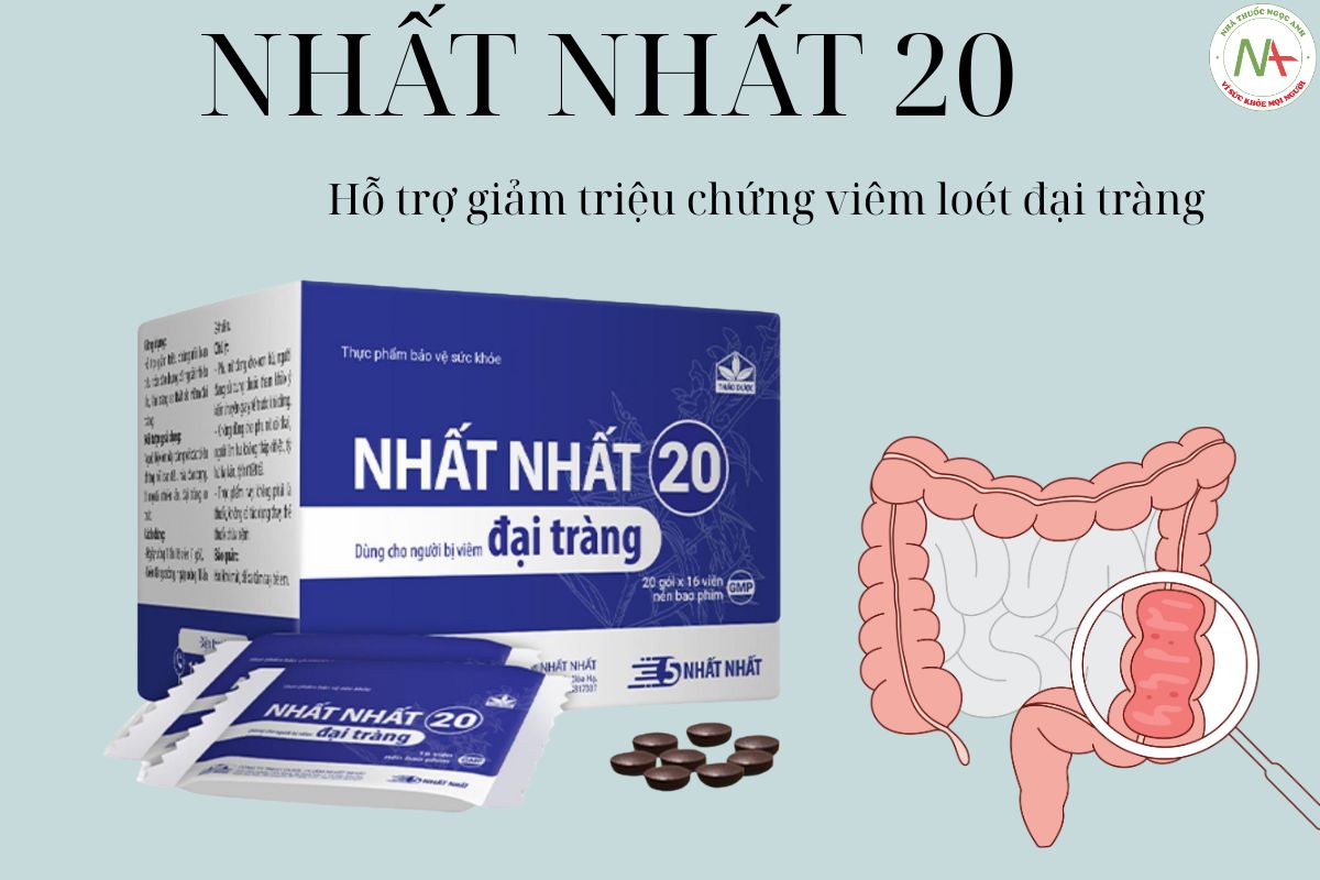 Nhất Nhất 20 hỗ trợ giảm viêm loét đại tràng