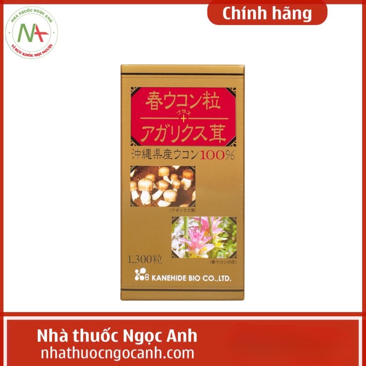 Spring Turmeric Tablet + Agaricus