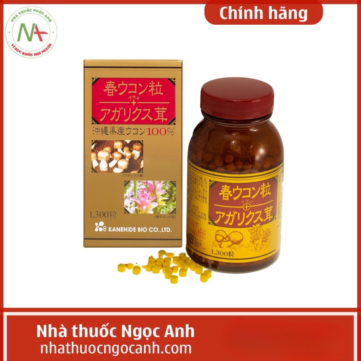 Spring Turmeric Tablet + Agaricus